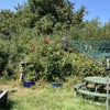 Photo 3: Garden 