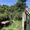 Photo 6: Garden 