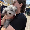 Photo 2: not my dog but I love animals!!