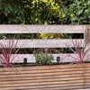 Photo 8: Garden