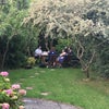 Photo 8: Garden