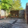 Photo 8: Garden