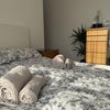 Photo 9: Bedroom
