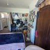 Photo 8: Downstairs Bedroom Pt 2