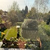Photo 3: View from window overlooking garden