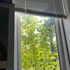 Photo 2: room window