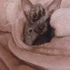 Photograph of Nichola