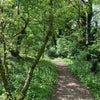 Photo 4: Beautiful country walks