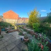 Photo 2: Garden