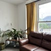 Photo 5: Living Room