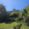 Photo 6: Garden