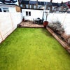 Photo 7: Garden