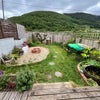 Photo 4: Garden