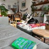 Photo 3: Living room (and dog)