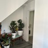 Photo 5: Under stairs, plants will