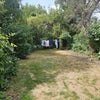 Photo 5: Garden