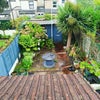 Photo 6: Shared Patio Space