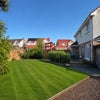 Photo 9: Back garden 