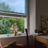 Photo 3: Room with a nice view