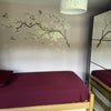 Photo 7: Bedroom 2