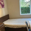 Photo 5: Second bedroom