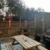Photo 6: garden