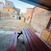 Photo 8: View from the bench in the garden. Perfect space for BBQ’s and hanging out 