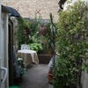 Photo 4: Courtyard