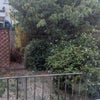 Photo 7: Garden area