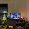 Photo 4: Living room