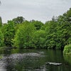 Photo 10: Waterlow Park