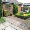 Photo 11: Nice green space with washing lines