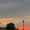 Photo 2: Loveee naturee+photography