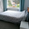 Photo 3: Back bedroom