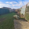 Photo 7: Rear Garden
