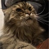 Photograph of Khaled 