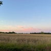 Photo 8: view from Garden 