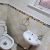 Photo 7: Downstairs toilet