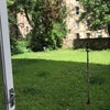 Photo 3: Rear garden