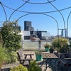 Photo 2: Communal roof terrace with views over the city