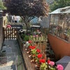 Photo 8: Garden