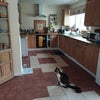 Photo 3: Kitchen and cat