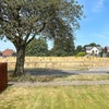 Photo 4: Front house garden 