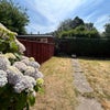 Photo 6: Back garden 