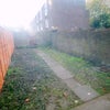 Photo 5: garden
