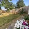 Photo 7: Garden 