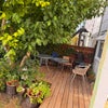 Photo 9: Garden