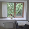 Photo 6: Table