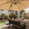 Photo 5: Garden