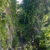 Photo 8: Garden